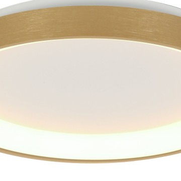 Plafondlamp steinhauer ringlede 3691go wwwlamp123nl6