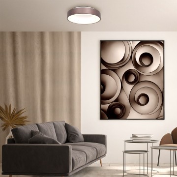 Plafondlamp steinhauer ringledeled 2562br wwwlamp123nl4