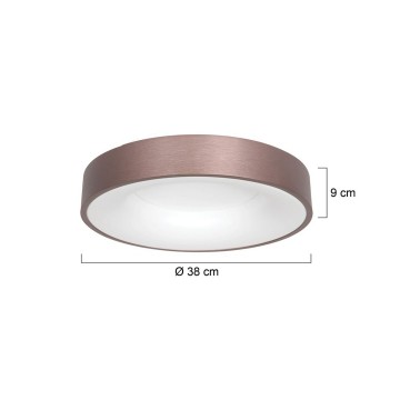 Plafondlamp steinhauer ringledeled 2562br wwwlamp123nl6