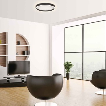 Plafondlamp steinhauer ringlux 4135zw wwwlamp123nl4