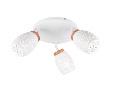 Plafondlamp trio bidar r61573331 lamp123nl1