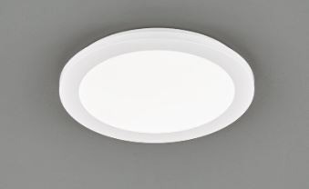 Plafondlamp trio camillus r62921501 wwwlamp123nl