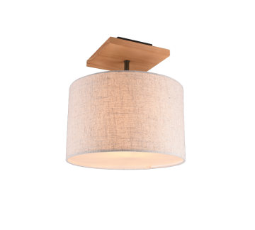 Plafondlamp trio elmau 602100130 wwwlamp123nl 0