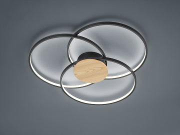 Plafondlamp trio irvine 673210332 lamp123nl2