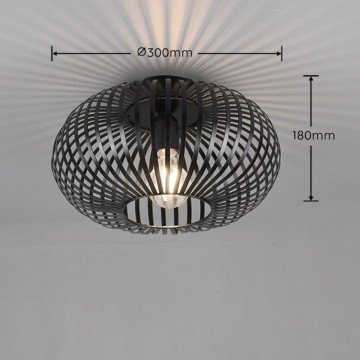 Plafondlamp trio johann 606903032 wwwlamp123nl2