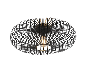 Plafondlamp trio johann 606905032 wwwlamp123nl 0