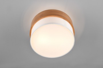 Plafondlamp trio seasons 611500201 wwwlamp123nl1