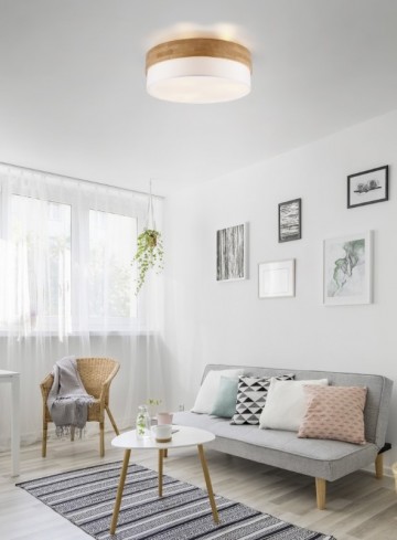 Plafondlamp trio seasons 611500301 wwwlamp123nl4