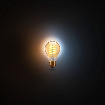 Rf 273 ttunable bulbstandaloneblk bg