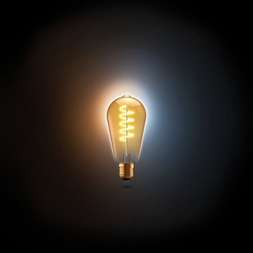 Rf 274 ttunable edisonstandaloneblk bg