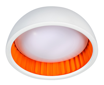 Ringometoranje05 pl2143 3153