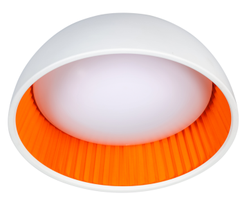 Ringometoranje05 pl2144 3153