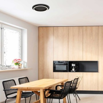 Steinhauer plafondlamp ringlux 3655zw wwwlamp123nl3   kopie