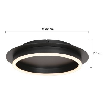 Steinhauer plafondlamp ringlux 3655zw wwwlamp123nl5