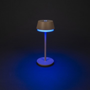 Tafellamp konstmide lion 7830 330 wwwlamp123nl123456