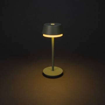 Tafellamp konstmide lion 7830 630 wwwlamp123nl1234