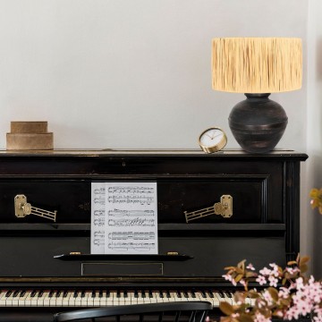 Tafellamp steinhauer lyons 3746zw wwwlamp123nl1