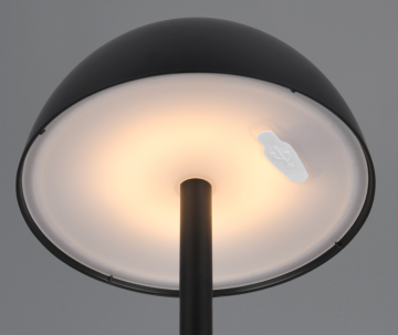 Tafellamp trio ricardo r54106132 wwwlamp123nl12