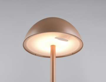 Tafellamp trio ricardo r54106165 wwwlamp123nl123