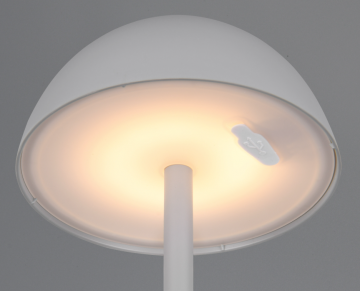 Tafellamp trio ricardo r54106177 wwwlamp123nl12