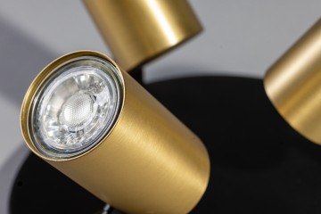 The common 05 sp2338 3004 detail 2