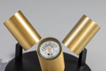 The common 05 sp2338 3004 detail 3