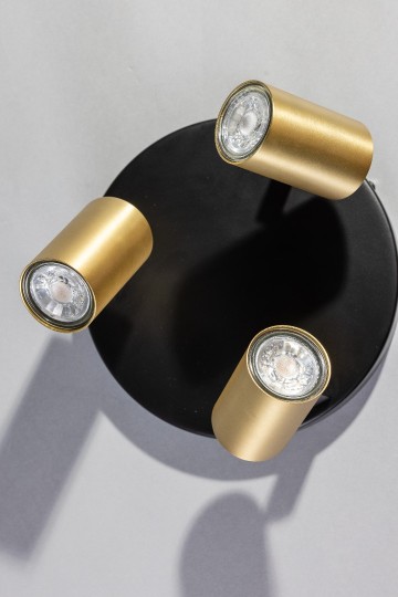 The common 05 sp2338 3004 sfeer 1