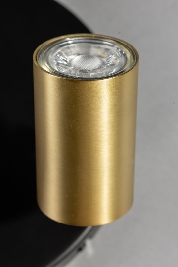 The common detail 2 0