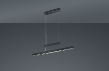 Trio hanglamp trajan 375310532 wwwlamp123nl4