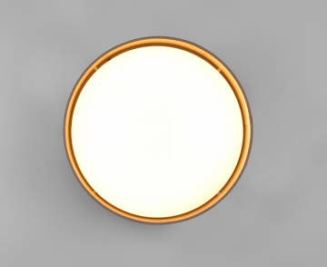 Trio plafondlamp locarno r64191141 wwwlamp123nl4