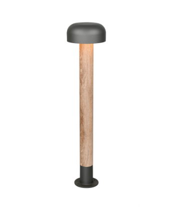 Vloerlamp trio outdoor fraser 462560135