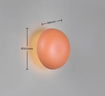 Wandlamp trio davey r24431140 wwwlamp123nl 1