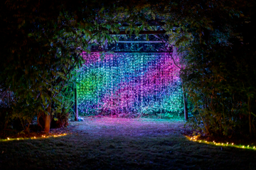 Webimage 5bda6f52 5dcb 409a 8a60edfcf69e6b15